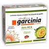 Garcinia Complex (perfect line) ayuda control apetito de Pinisan Pinisan 8435001001282 Quemagrasas y similares salud.bio
