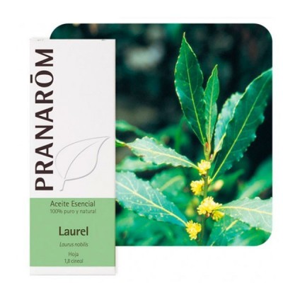 Laurel Aceite Esencial Natural Quimiotipado de Pranarôm Pranarom 227339 Acéites esenciales salud.bio