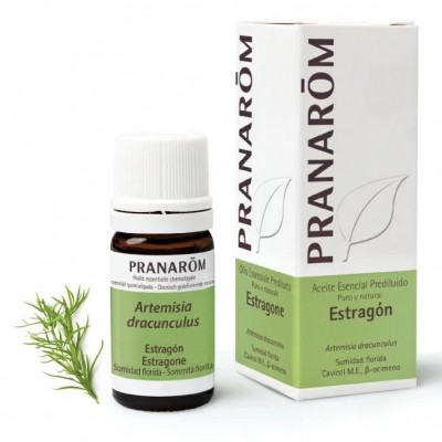 Estragon 5ml (Pre Diluido) Aceite Esencial Natural Quimiotipado de Pranarôm Pranarom 2215979 Acéites esenciales salud.bio
