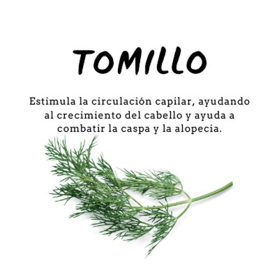 Champú Proteico de Tomillo 300ml de D´Shila D´Shila 5011040300 Cosmética Natural salud.bio