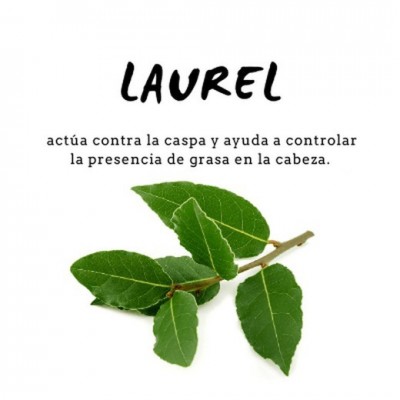 Champú Proteico de Laurel 300ml de D´Shila D´Shila 5011100300 Cosmética Natural salud.bio