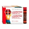 L-Carnitina 2000 mg Líquida de Marnys Marnys MNV800 Inicio salud.bio