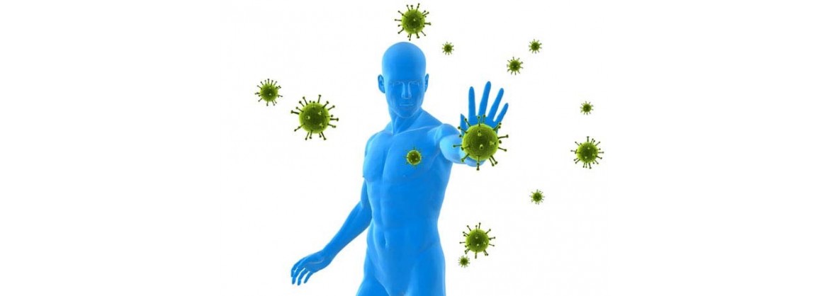 sistema inmunitario, sistema inmune, sistema inmunológico o sistema autoinmune